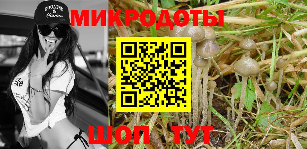 Псилоцибиновые грибы Magic Shrooms  Вход с VPN  Галлюциногенные грибы GOLDEN TEACHER  Петропавловск-Камчатский 