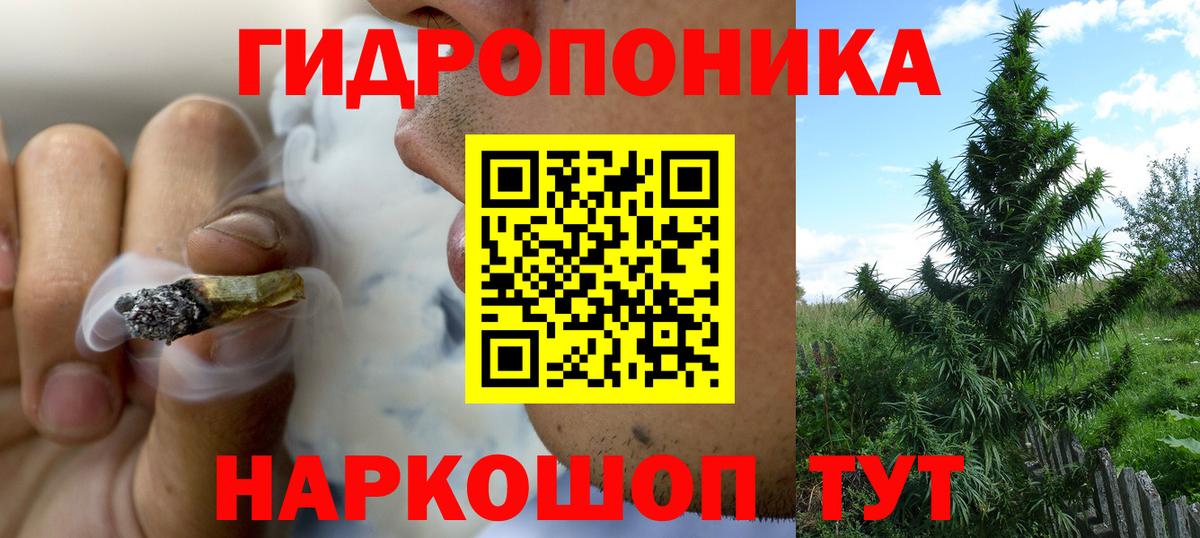 Бошки марихуана марихуана  Вход с VPN  Петропавловск-Камчатский  Канабис SATIVA & INDICA 